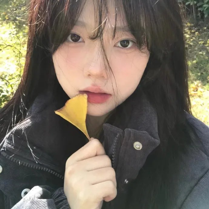 炎的肖像